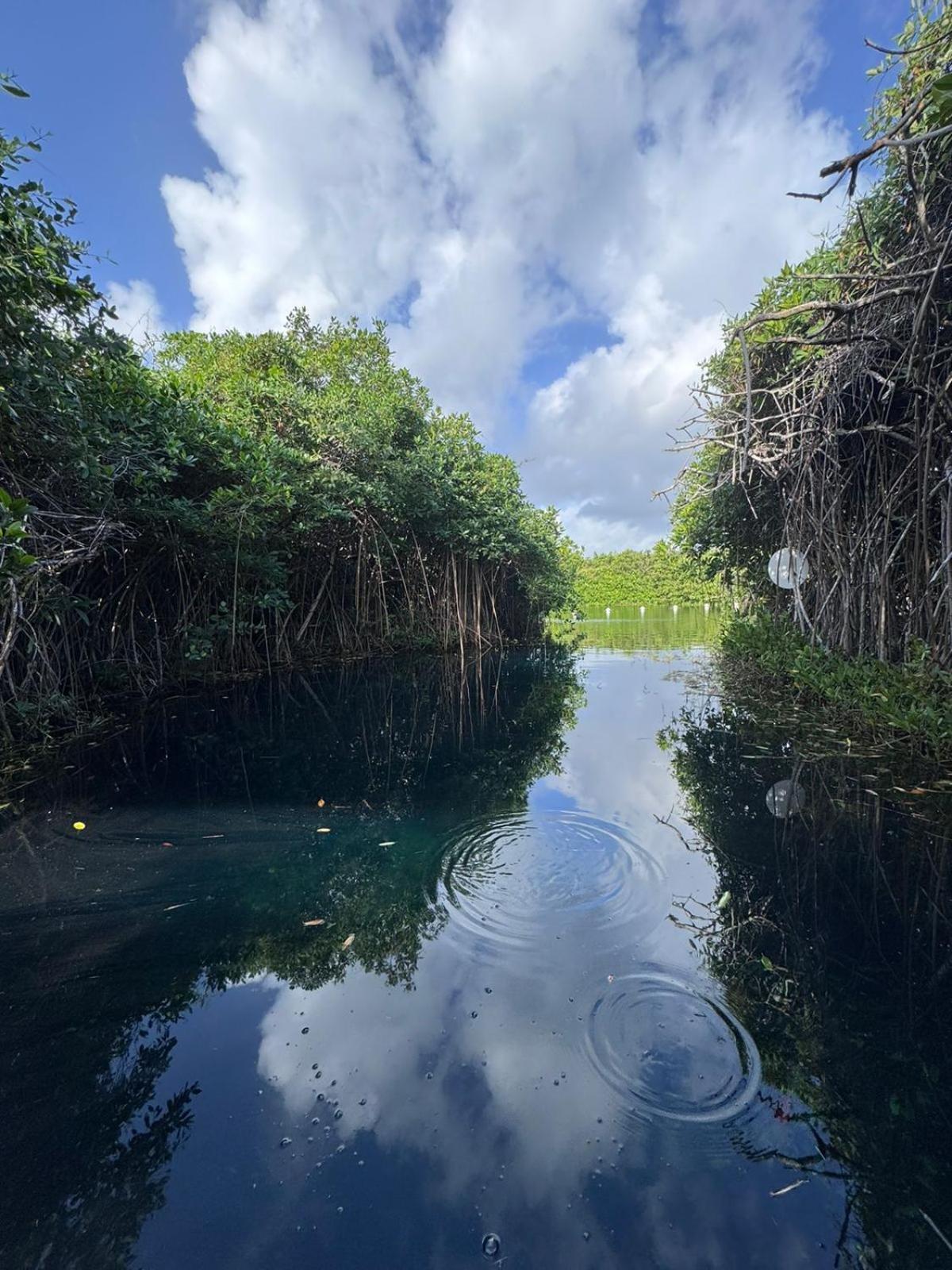 Cabanas Tulum - Aldea Mangle & Cenote Ngoại thất bức ảnh