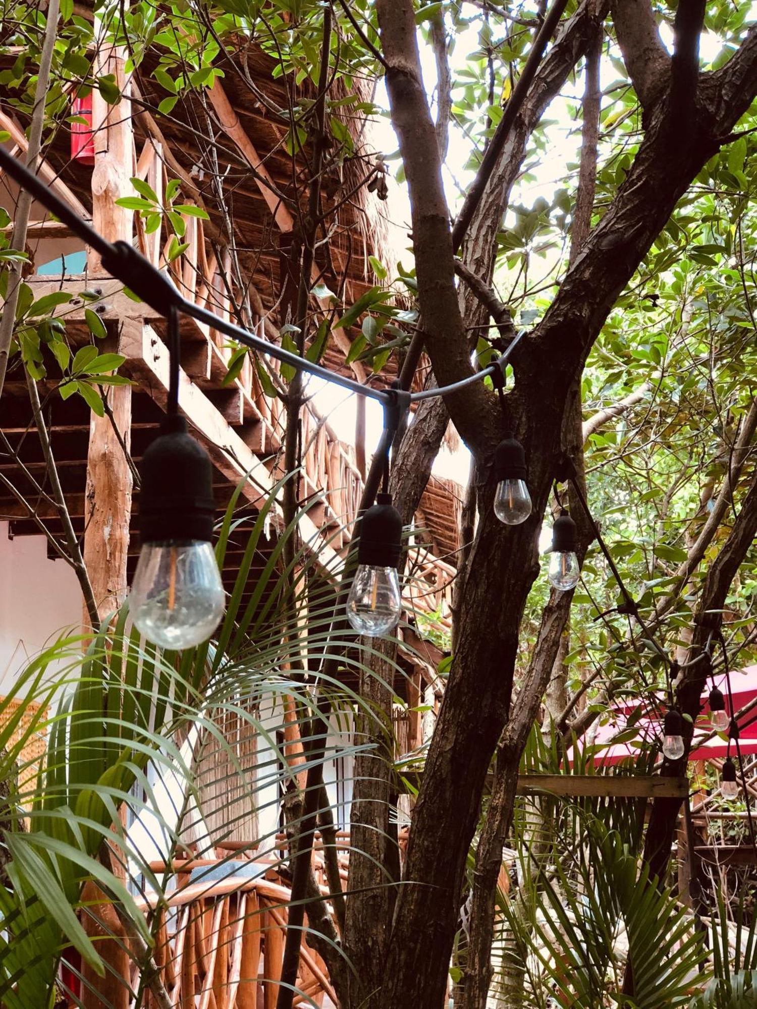 Cabanas Tulum - Aldea Mangle & Cenote Ngoại thất bức ảnh