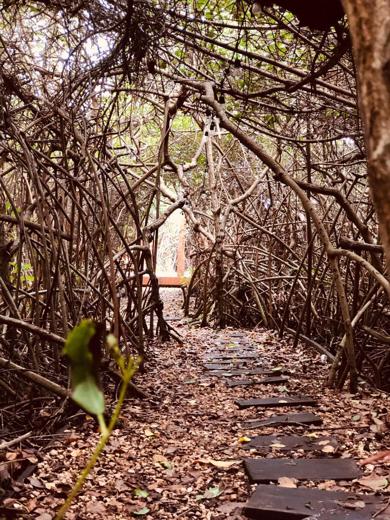 Cabanas Tulum - Aldea Mangle & Cenote Ngoại thất bức ảnh