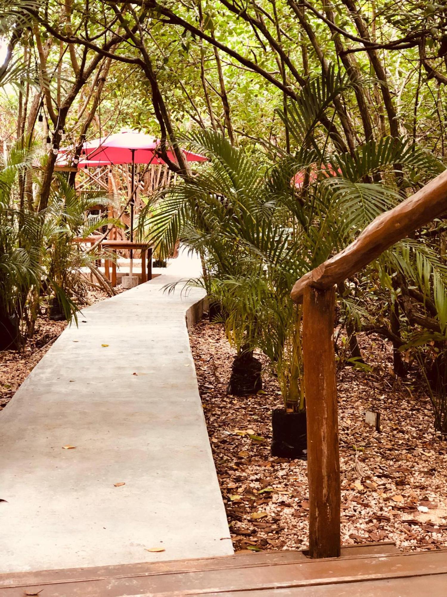 Cabanas Tulum - Aldea Mangle & Cenote Ngoại thất bức ảnh