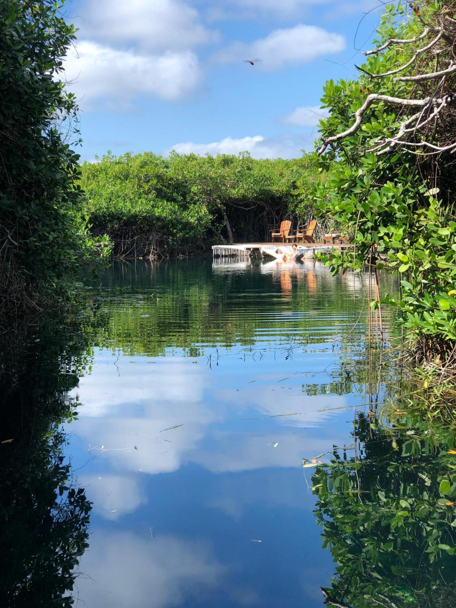 Cabanas Tulum - Aldea Mangle & Cenote Ngoại thất bức ảnh