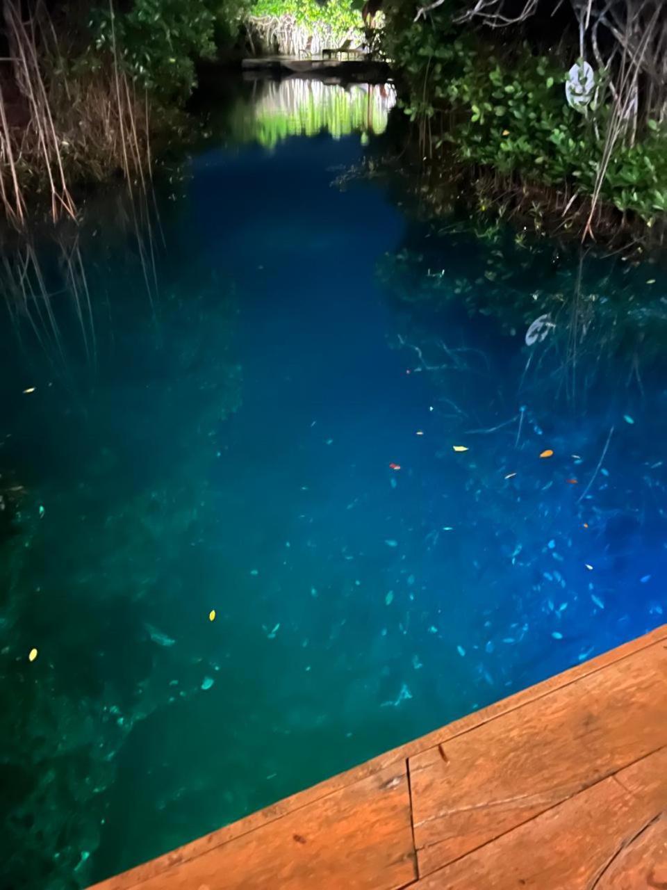 Cabanas Tulum - Aldea Mangle & Cenote Ngoại thất bức ảnh