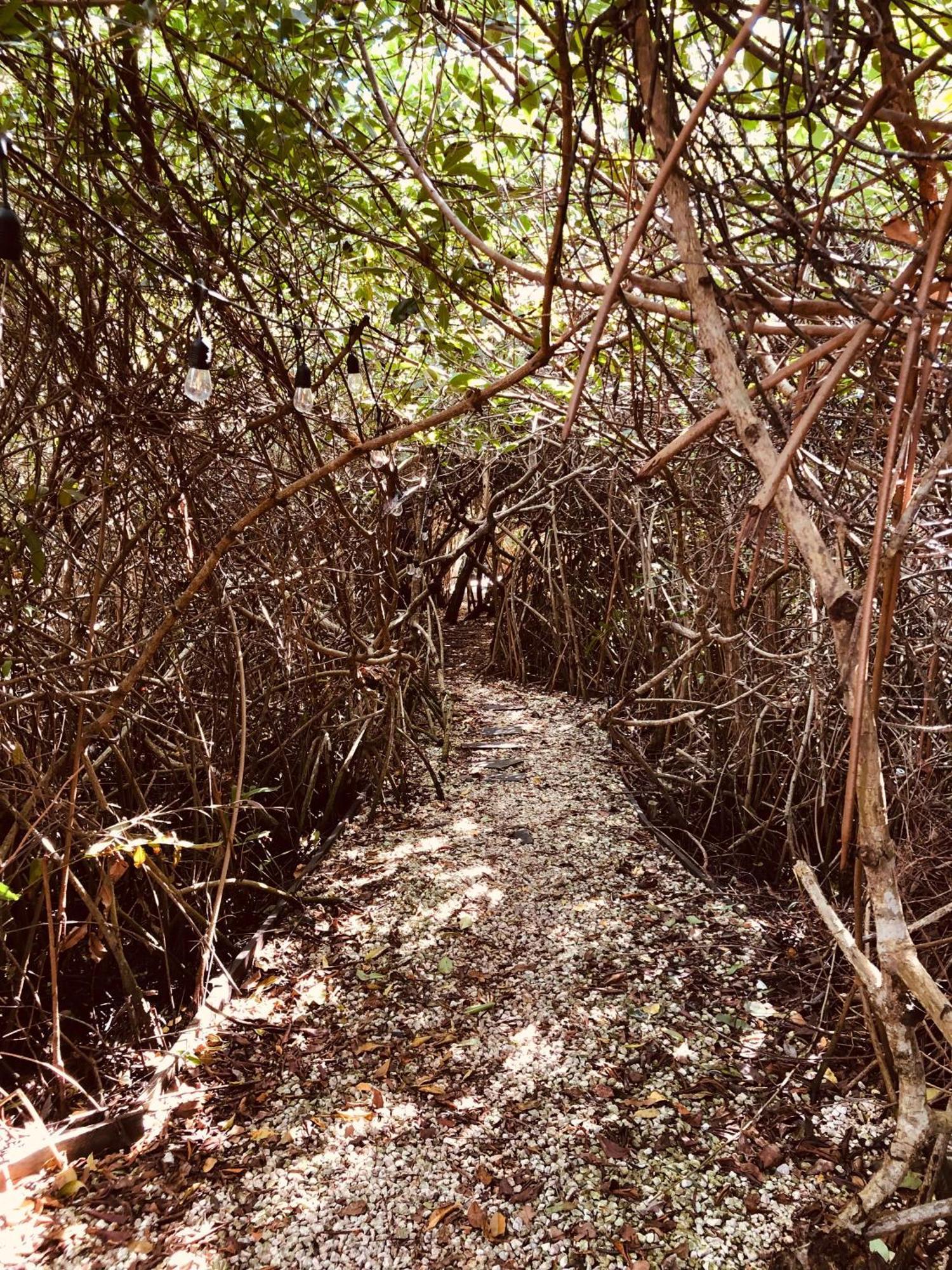 Cabanas Tulum - Aldea Mangle & Cenote Ngoại thất bức ảnh