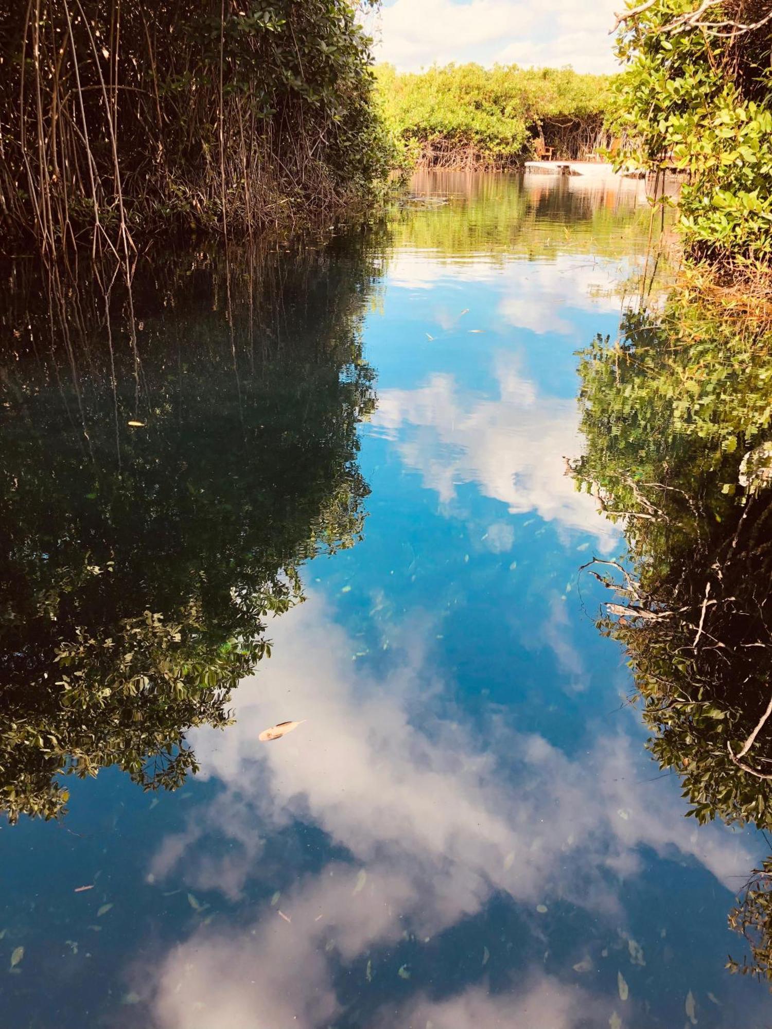 Cabanas Tulum - Aldea Mangle & Cenote Ngoại thất bức ảnh