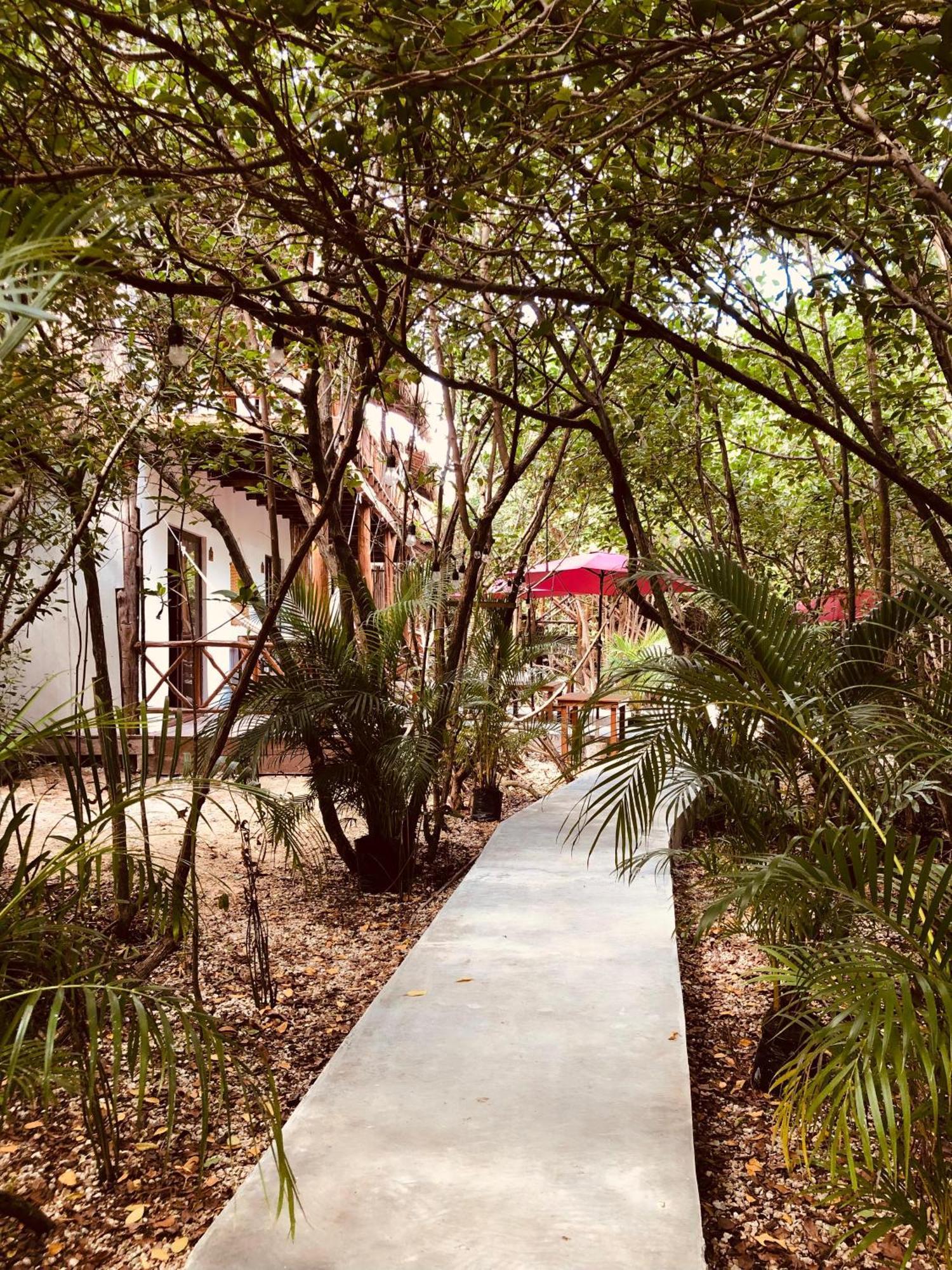Cabanas Tulum - Aldea Mangle & Cenote Ngoại thất bức ảnh