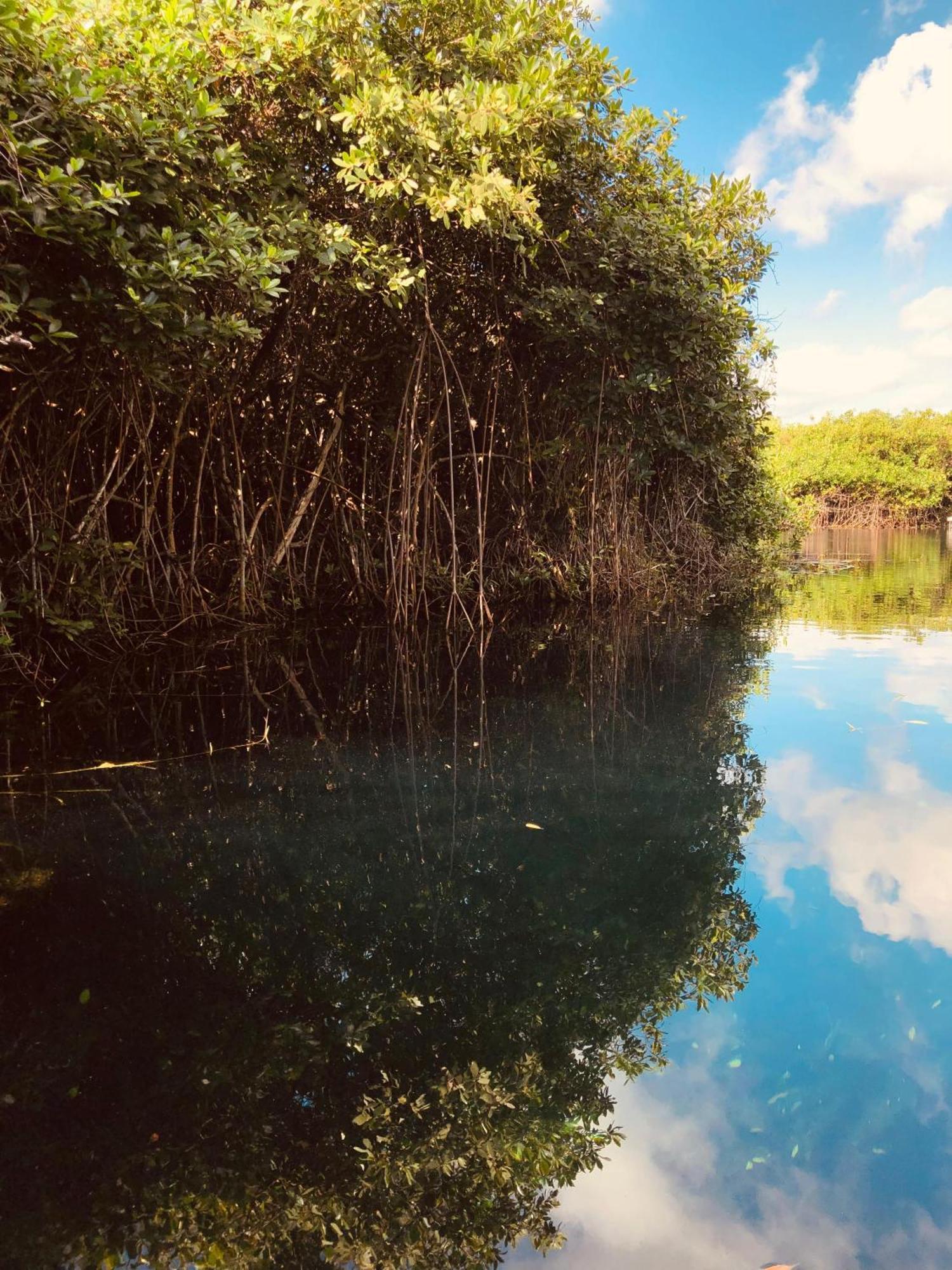 Cabanas Tulum - Aldea Mangle & Cenote Ngoại thất bức ảnh