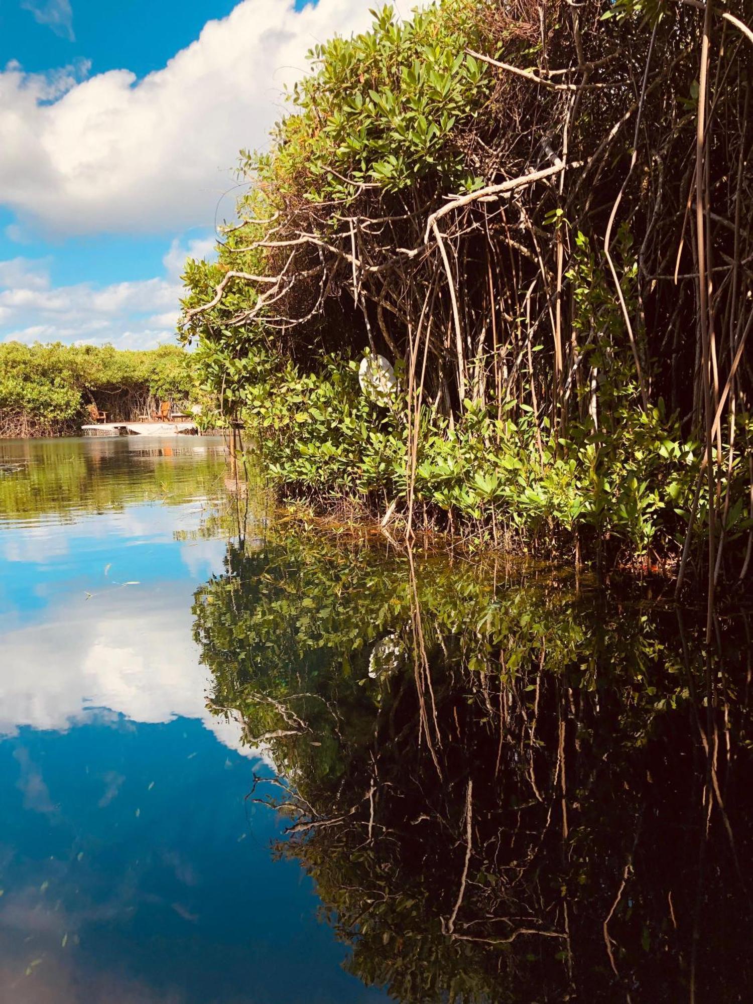 Cabanas Tulum - Aldea Mangle & Cenote Ngoại thất bức ảnh