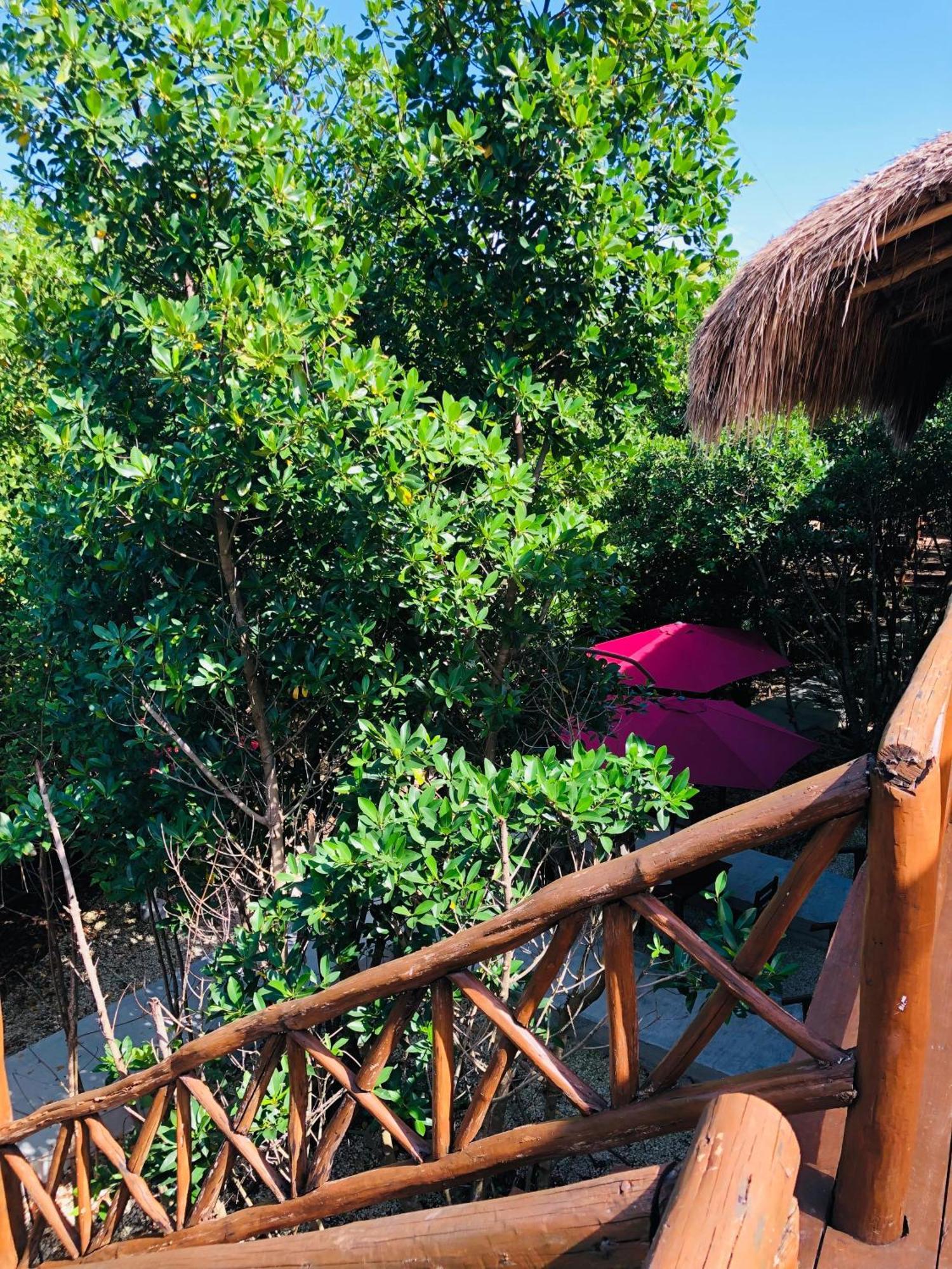 Cabanas Tulum - Aldea Mangle & Cenote Ngoại thất bức ảnh