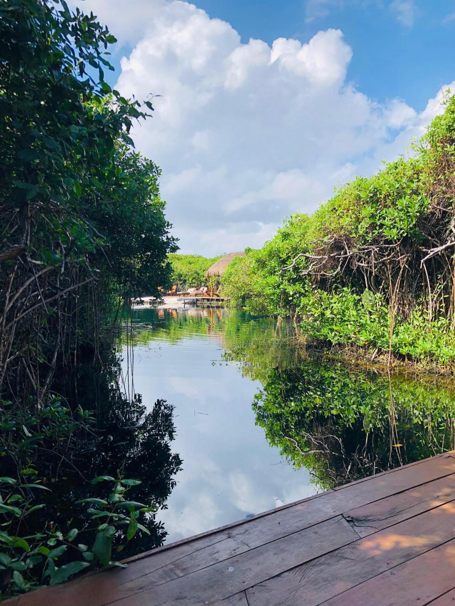 Cabanas Tulum - Aldea Mangle & Cenote Ngoại thất bức ảnh