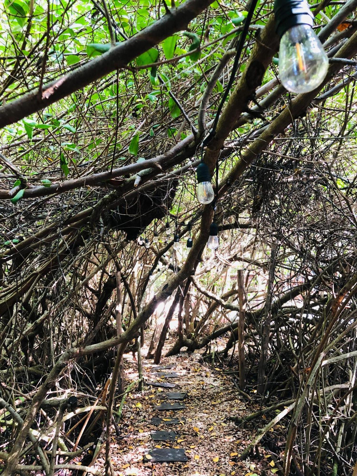 Cabanas Tulum - Aldea Mangle & Cenote Ngoại thất bức ảnh